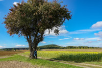 /album/fotogalerie-auf-wanderschaft1/stradner-kogel-rosenberg-08-10-2025-26-jpg/